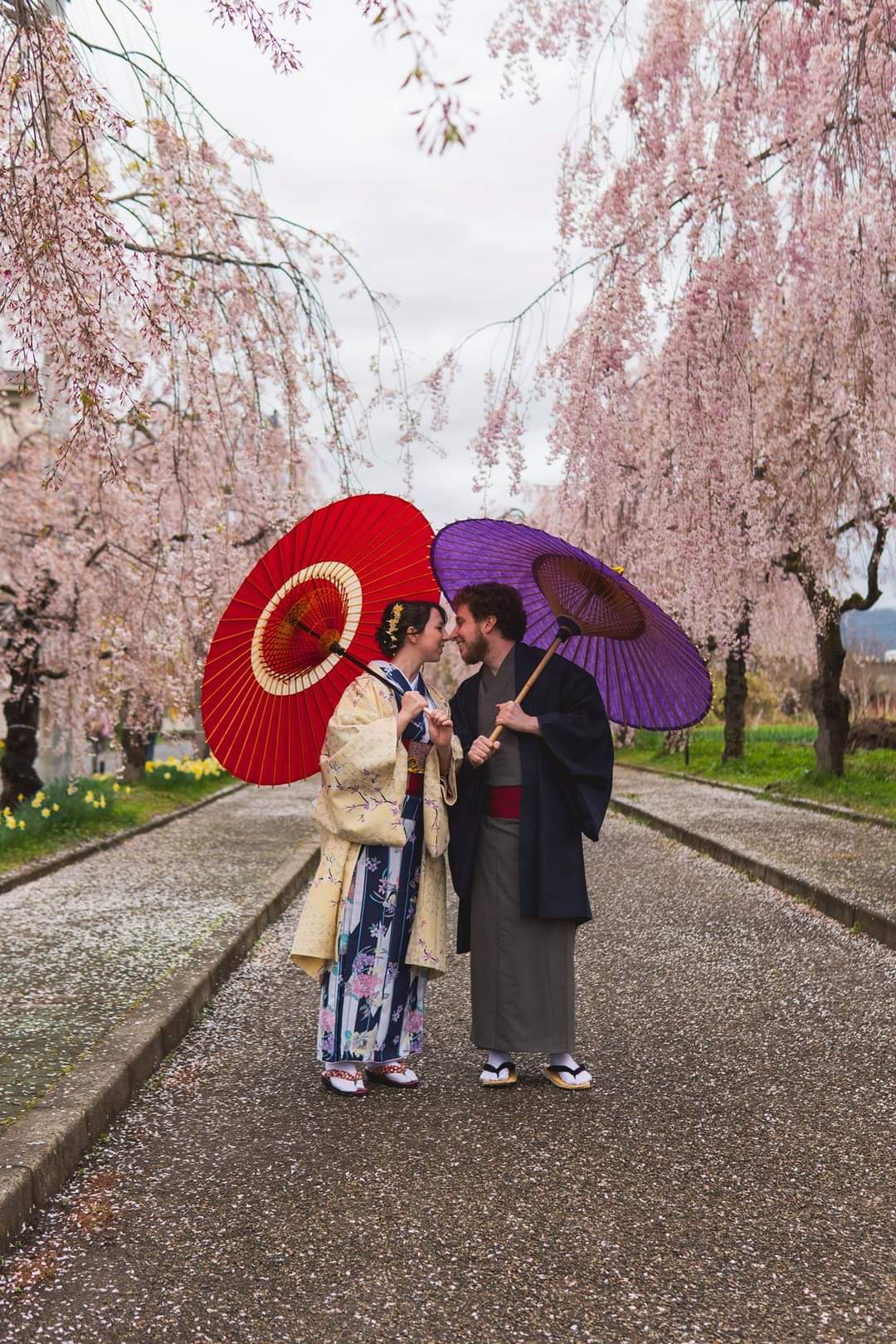 Wearing kimono with my husband surrounded by weeping cherry blossoms at Nicchusen in Kitakata, Fukushima